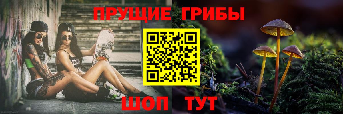 Псилоцибиновые грибы Psilocybe  Вход с VPN  Кириши 